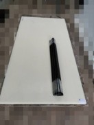 คาสไนล่อน